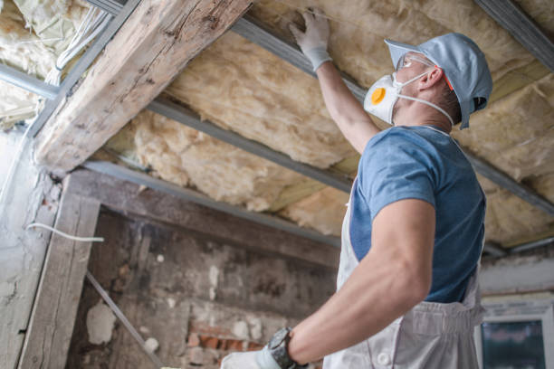 Best Residential Insulation in West Hollywood, CA