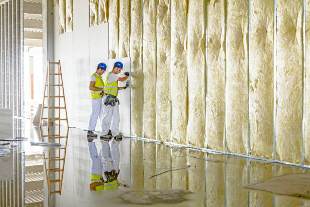 Best Spray Foam Insulation in West Hollywood, CA
